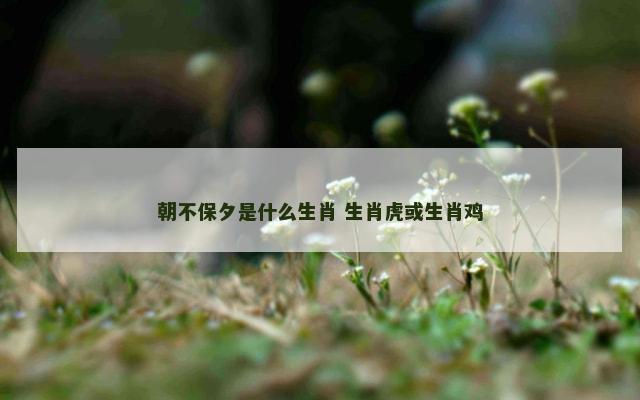 朝不保夕是什么生肖 生肖虎或生肖鸡