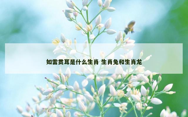 如雷贯耳是什么生肖 生肖兔和生肖龙