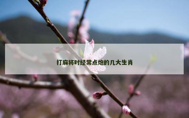 打麻将时经常点炮的几大生肖