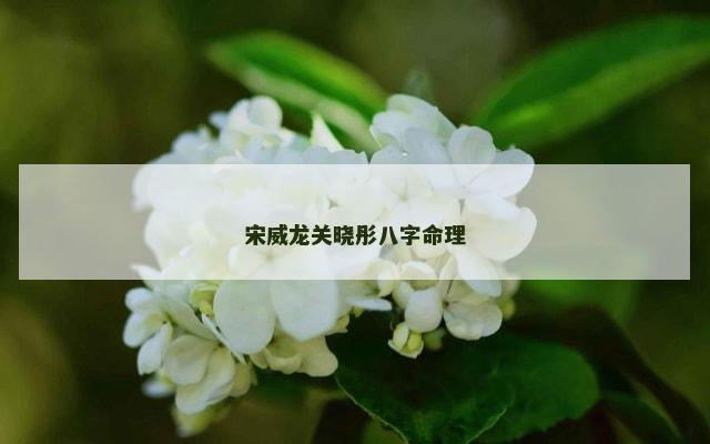 宋威龙关晓彤八字命理