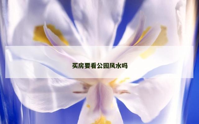 买房要看公园风水吗