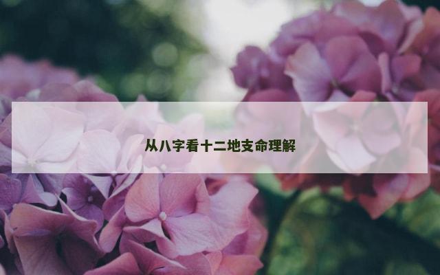 从八字看十二地支命理解