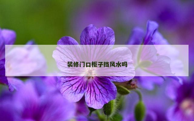 装修门口柜子挡风水吗