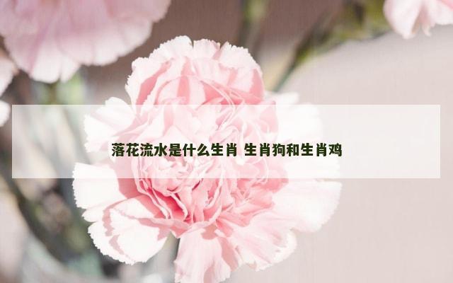 落花流水是什么生肖 生肖狗和生肖鸡