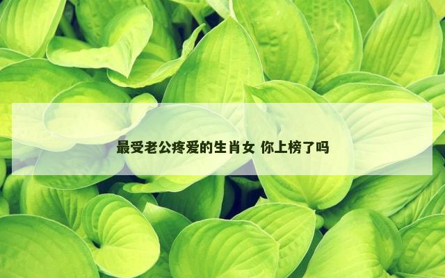 最受老公疼爱的生肖女 你上榜了吗