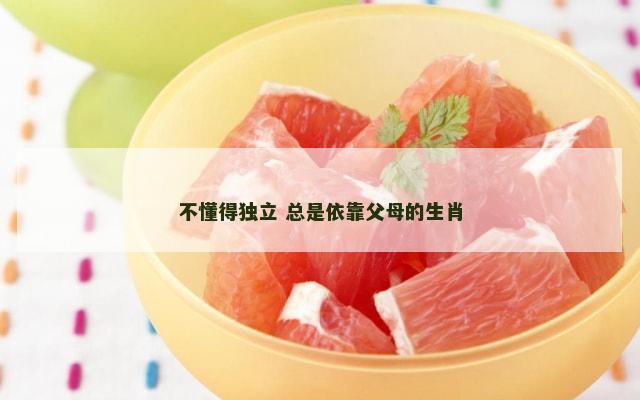 不懂得独立 总是依靠父母的生肖