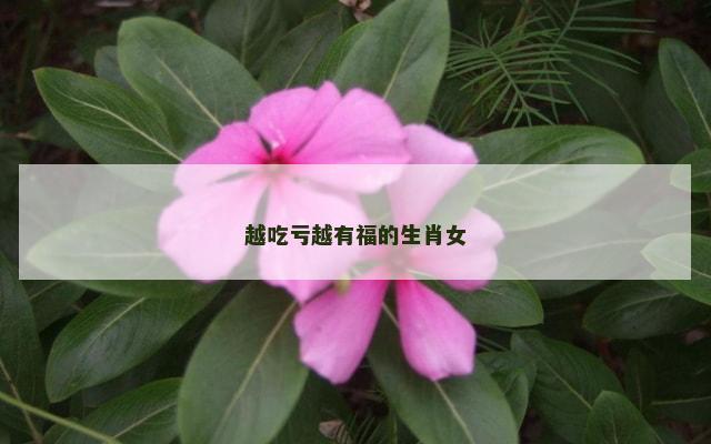 越吃亏越有福的生肖女