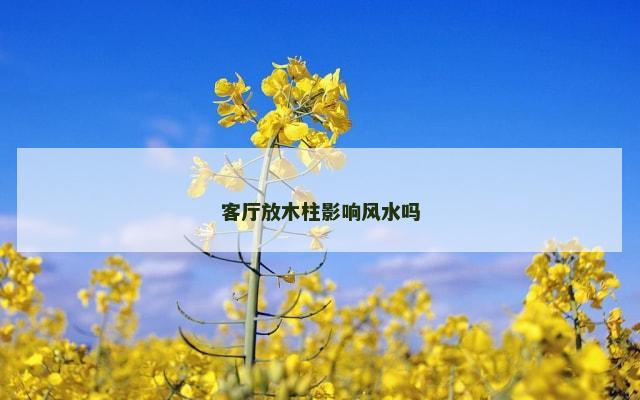 客厅放木柱影响风水吗