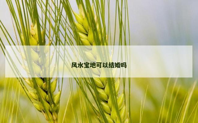 风水宝地可以结婚吗