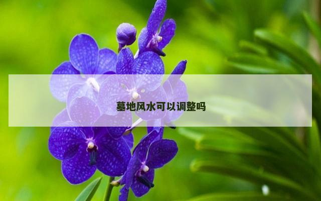 墓地风水可以调整吗