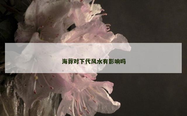 海葬对下代风水有影响吗