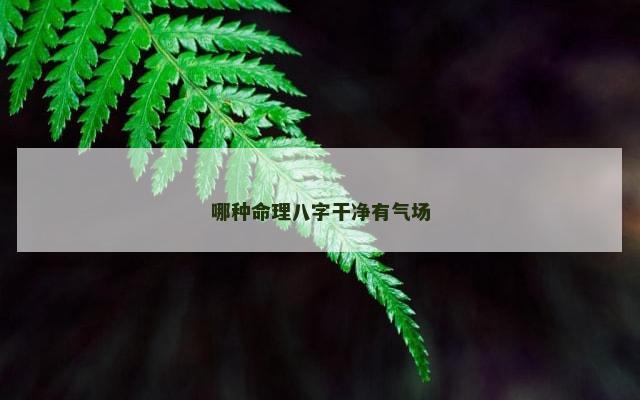 哪种命理八字干净有气场