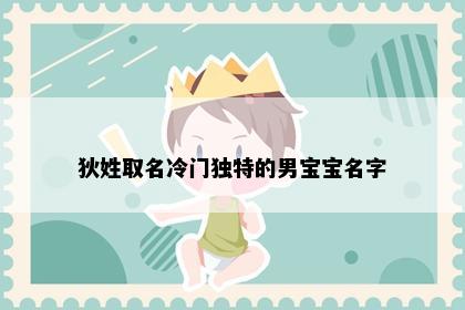 狄姓取名冷门独特的男宝宝名字