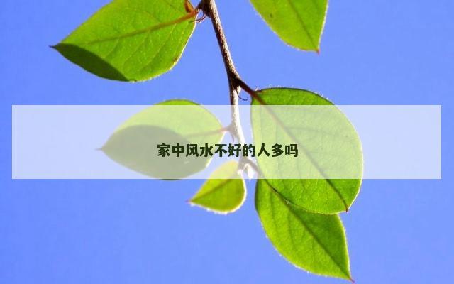 家中风水不好的人多吗