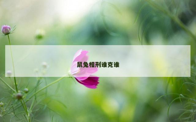 鼠兔相刑谁克谁