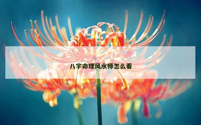 八字命理风水师怎么看