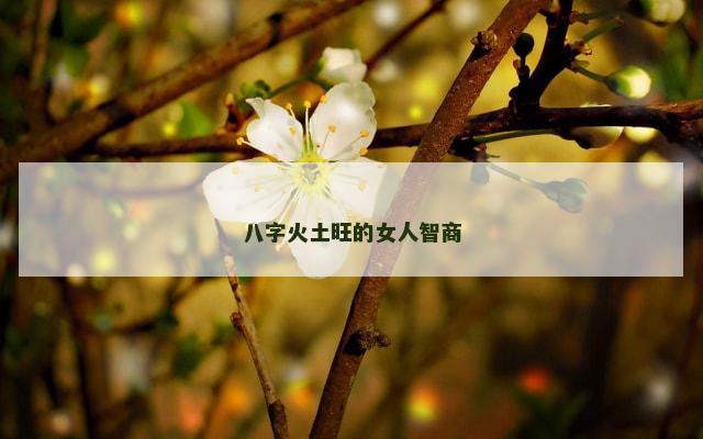 八字火土旺的女人智商