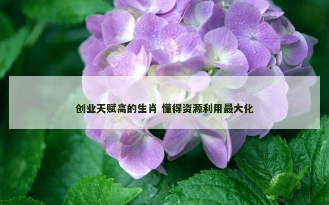 创业天赋高的生肖 懂得资源利用最大化