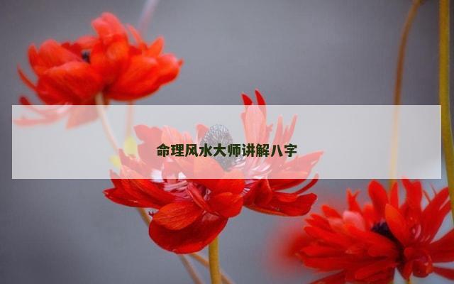 命理风水大师讲解八字