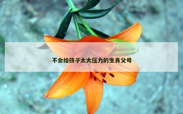 不会给孩子太大压力的生肖父母