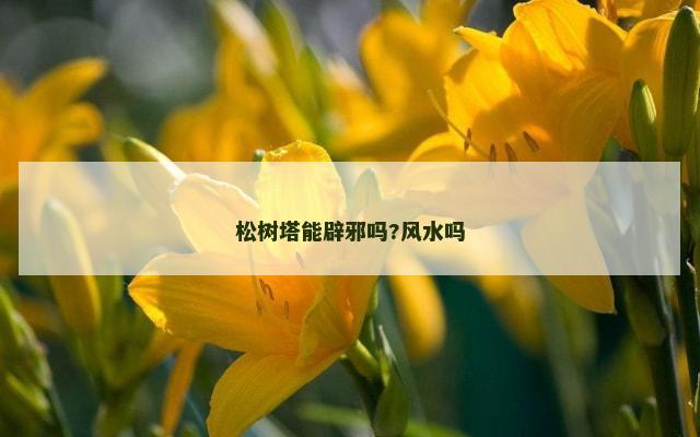 松树塔能辟邪吗?风水吗