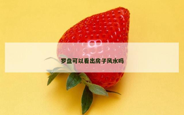 罗盘可以看出房子风水吗
