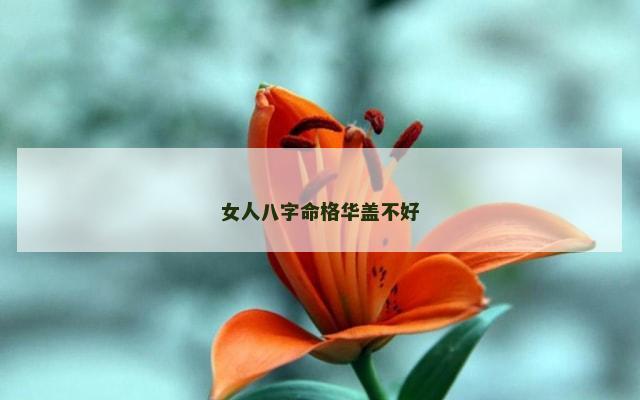 女人八字命格华盖不好