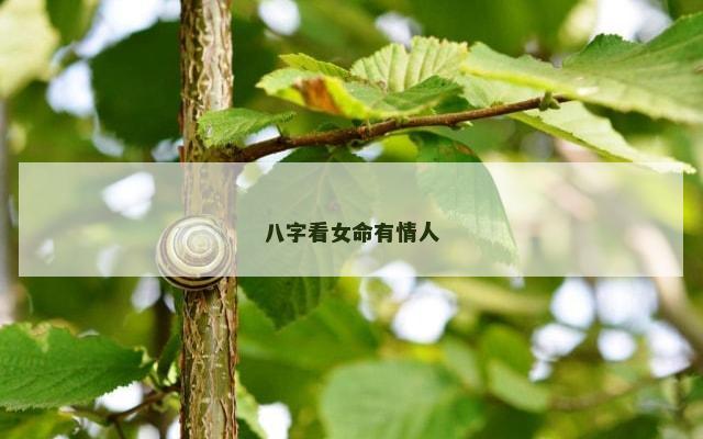 八字看女命有情人