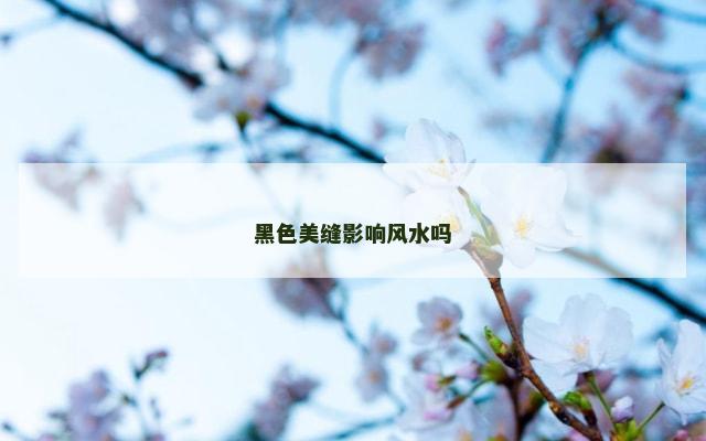黑色美缝影响风水吗