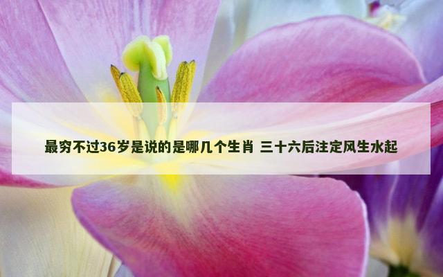 最穷不过36岁是说的是哪几个生肖 三十六后注定风生水起
