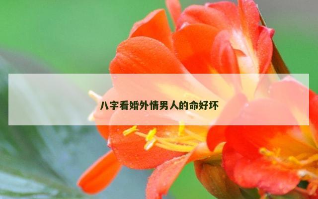 八字看婚外情男人的命好坏