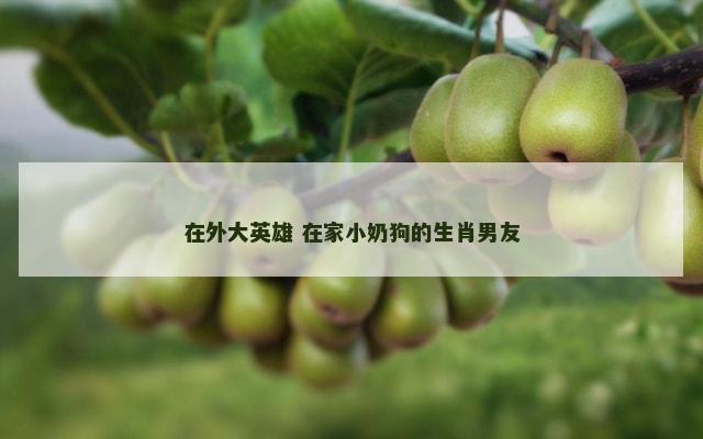 在外大英雄 在家小奶狗的生肖男友