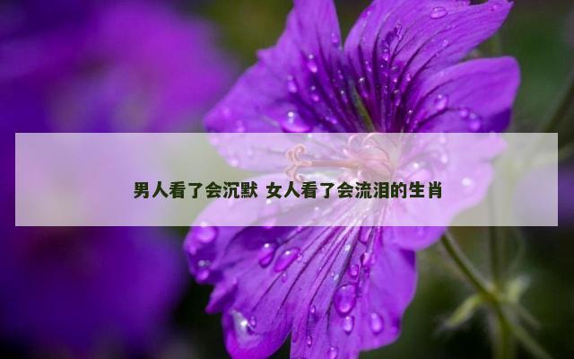 男人看了会沉默 女人看了会流泪的生肖