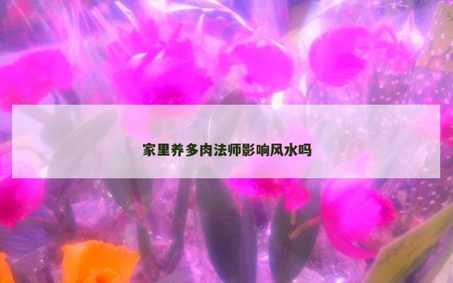家里养多肉法师影响风水吗