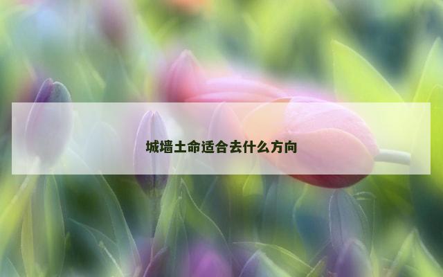 城墙土命适合去什么方向