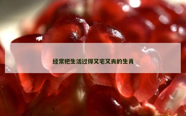 经常把生活过得又宅又丧的生肖