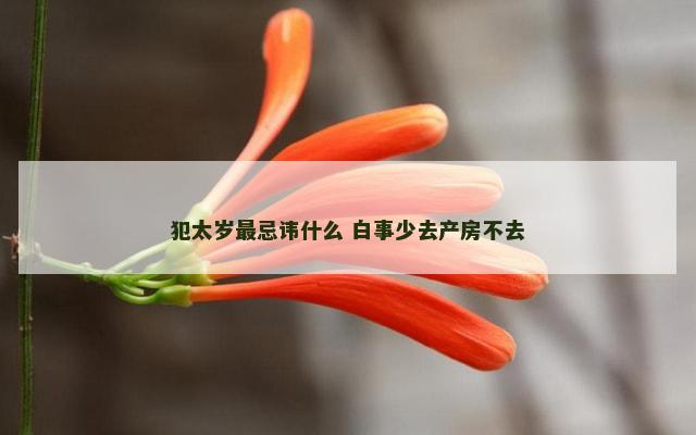 犯太岁最忌讳什么 白事少去产房不去