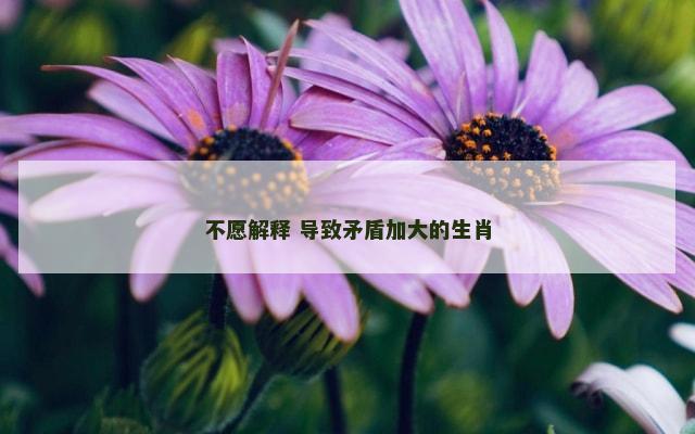 不愿解释 导致矛盾加大的生肖