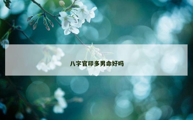 八字官印多男命好吗