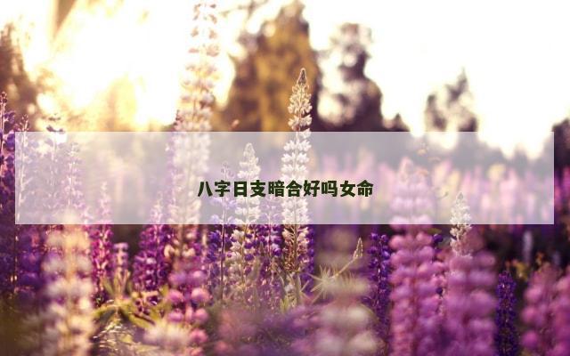 八字日支暗合好吗女命