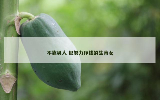 不靠男人 很努力挣钱的生肖女