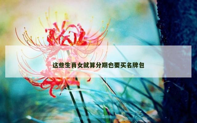 这些生肖女就算分期也要买名牌包