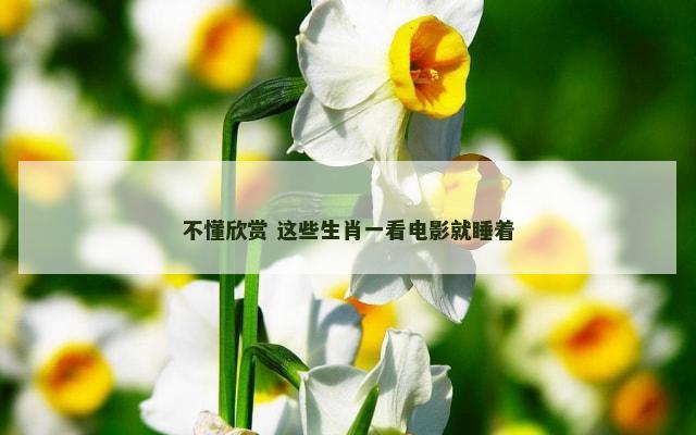 不懂欣赏 这些生肖一看电影就睡着