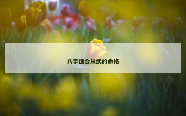 八字适合从武的命格