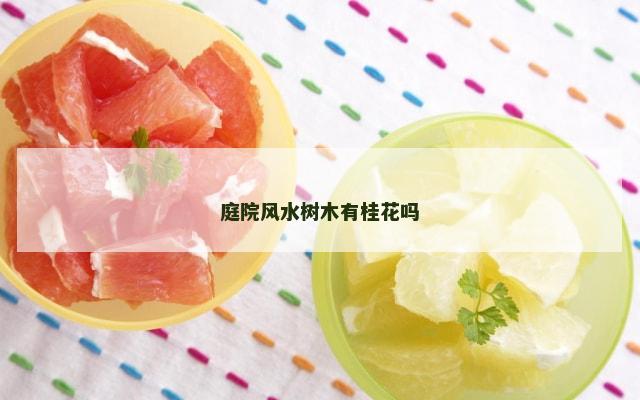 庭院风水树木有桂花吗