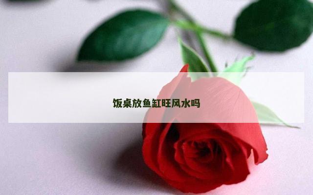 饭桌放鱼缸旺风水吗
