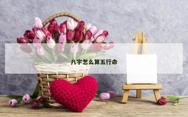 八字怎么算五行命