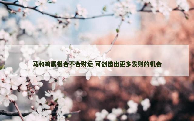 马和鸡属相合不合财运 可创造出更多发财的机会