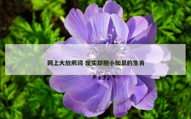 网上大放厥词 现实却胆小如鼠的生肖