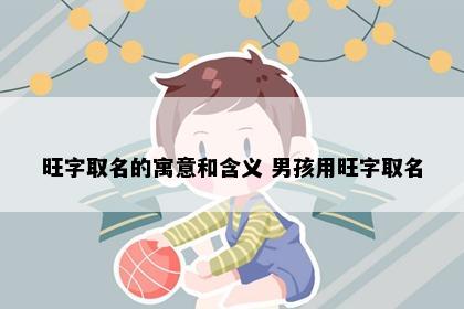 旺字取名的寓意和含义 男孩用旺字取名